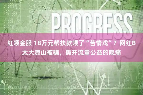 红领金服 18万元帮扶款喂了“苦情戏”？网红B太大凉山被骗，撕开流量公益的隐痛