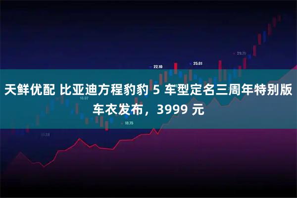 天鲜优配 比亚迪方程豹豹 5 车型定名三周年特别版车衣发布，3999 元