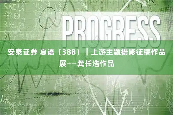 安泰证券 夏语（388）｜上游主题摄影征稿作品展——龚长浩作品