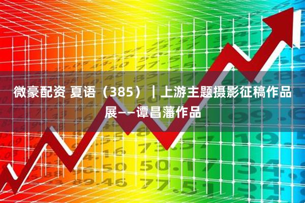 微豪配资 夏语（385）｜上游主题摄影征稿作品展——谭昌藩作品